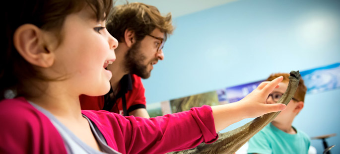 Sur les traces de dinosaures, activité pédagogique maternelle primaire